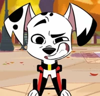 Delgado Dalmatian