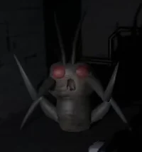 Hoarding Bug
