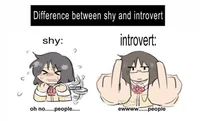 Shy n introverted