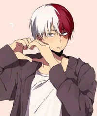 Shoto Todoroki 