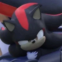 Shadow the Hedgehog 