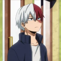 Todoroki shoto 
