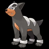 Houndour