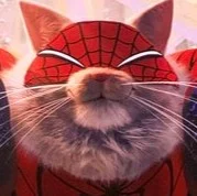 Spider-Cat