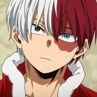 Shoto todoroki