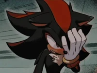 Shadow The Hedgehog 