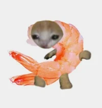 Shrimp Or me