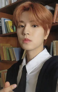 Seungmin