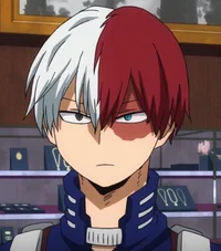 Shoto Todoroki