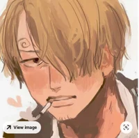 Vinsmoke Sanji