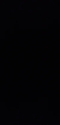 Black swordman party