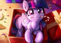 Twilight Xmas Gift