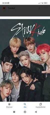 Stray kids