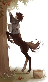 centaur boy