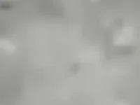 Oooooooooooooooooooo