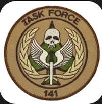 Task Force 141