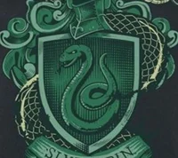 Slytherin boys