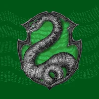 The Slytherin boys