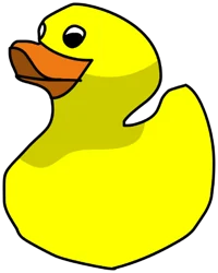 A duck