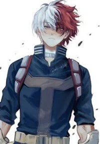 Shoto Todorki