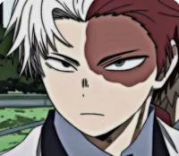 Shoto Todoroki 