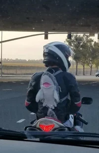 Protective Boyfriend