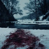 Blood in snow