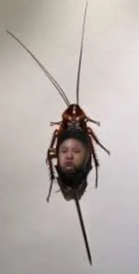 Kim jong un vs roach