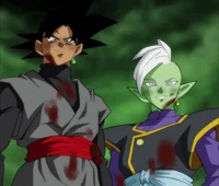 GokuBlack and Zamasu