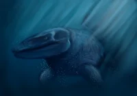 Mosasaurus