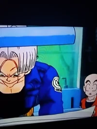 Krillin and trunks