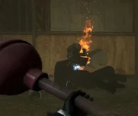 POVPlunger Cameraman