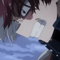 Shoto Todoroki 