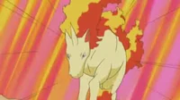 Rapidash