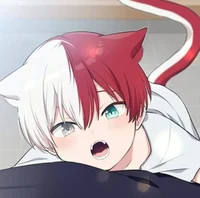 Shoto Todoroki
