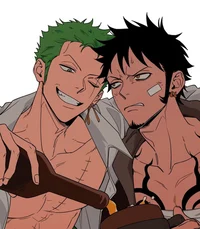 Zoro Law