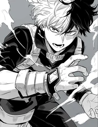 Shoto Todoroki 