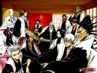 Bleach Gotei 13