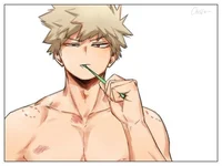 Bakugou-namorado
