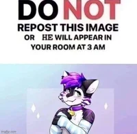 Femboy Furry
