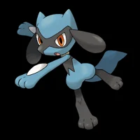Riolu