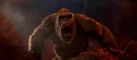 Kong 