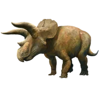 Triceratops