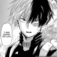 Shoto Todoroki 