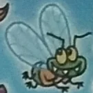 Mike the fly