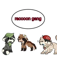RACCOON GANG