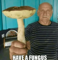 The Fungus Man