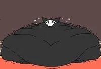 Fat Puro