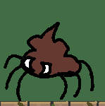 Spider Caca