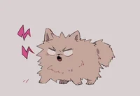 Pomeranian bakugou